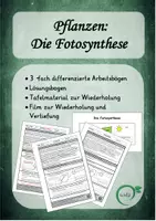 Vorschau - Arbeitsblätter - Pflanzen: Fotosynthese, 3-fach differenziert, Film - Deckblatt