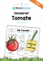 Vorschau - Arbeitsblätter - Mega-Bundle: Steckbriefe Gemüse (17 Arbeitsblätter) - Seite 1