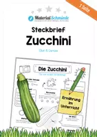 Vorschau - Arbeitsblätter - Steckbrief Zucchini - Deckblatt