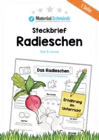 Vorschau - Arbeitsblätter - Steckbrief Radieschen - Deckblatt