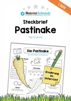 Vorschau - Arbeitsblätter - Steckbrief Pastinake - Deckblatt