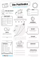 Vorschau - Arbeitsblätter - Steckbrief Pastinake - Seite 1