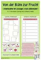 Vorschau - Arbeitsblätter - VON DER BLÜTE ZUR FRUCHT - Arbeitsblätter (farbig und schwarz-weiß) - Deckblatt