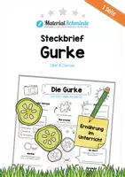 Vorschau - Arbeitsblätter - Steckbrief Gurke - Deckblatt