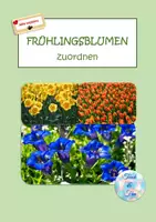 Vorschau - Präsentationen/Tafelbilder - 18 Frühlingsblumen-Bildkarten-Namenskarten zum Zuordnen - Deckblatt