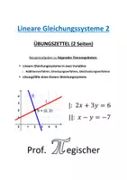 Vorschau - Arbeitsblätter - Übungszettel: Lineare Gleichungssysteme 2 (mit Lösungen) - Deckblatt