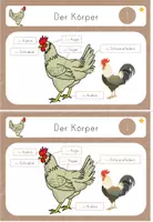 Vorschau - Unterrichtsreihen - Lerntheke Huhn Körperbau, Haustier/ Nutztier, Bauernhof - Seite 2