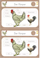 Vorschau - Unterrichtsreihen - Lerntheke Huhn Körperbau, Haustier/ Nutztier, Bauernhof - Seite 3