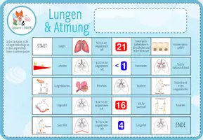 Vorschau - Spiele - Lunge und Atmung – digitales Dominospiel für Computer & iPad - Seite 3
