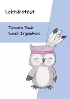 Vorschau - Test - Lesetest zu "Sankt Irgendwas" (Tamara Bach) - Deckblatt