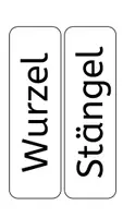 Vorschau - Präsentationen/Tafelbilder - Tafelmaterial zur Bohne mit Hintergrund - Seite 1