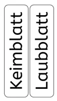 Vorschau - Präsentationen/Tafelbilder - Tafelmaterial zur Bohne mit Hintergrund - Seite 2
