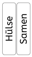Vorschau - Präsentationen/Tafelbilder - Tafelmaterial zur Bohne mit Hintergrund - Seite 3
