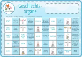 Vorschau - Spiele - Geschlechtsorgane - digitales Domino Spiel für Computer & iPad - Seite 2