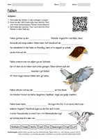 Vorschau - Arbeitsblätter - Arbeitsblatt zum Thema "Falken" + Onlineübung & MP3 + Infografik - Deckblatt