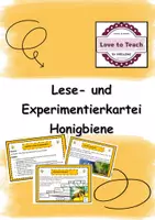 Vorschau - Stationenlernen - Lese-und Experimentierkartei Honigbiene - Deckblatt
