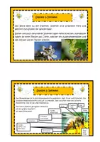 Vorschau - Stationenlernen - Lese-und Experimentierkartei Honigbiene - Seite 3