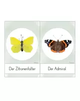Vorschau - Präsentationen/Tafelbilder - Aufsteller - Schmetterling ("Tolsby"-Rahmen) - Seite 3