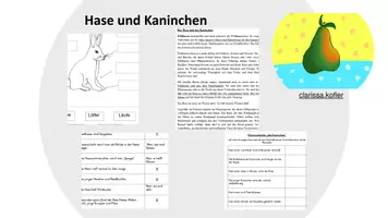 Vorschau - Stundenentwürfe - Hase und Kaninchen- Infos, Klammerkarten und ABL Hase - Deckblatt