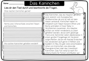 Vorschau - Unterrichtsreihen - Haustiere - Kaninchen - Seite 3