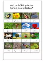 Vorschau - Stationenlernen - Natur-Bingo: Frühlingsbeginn (Fotos) - kostenlos - Seite 1