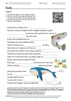 Vorschau - Arbeitsblätter - Arbeitsblatt zum Thema "Fische" + Onlineübung & MP3 + Mindmap + Infografik - Deckblatt