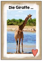 Vorschau - Poster - Giraffensprache | Eigenschaften der Giraffe - Seite 1