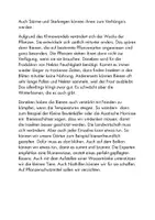 Vorschau - Text - So können wir die Bienen schützen - Seite 1