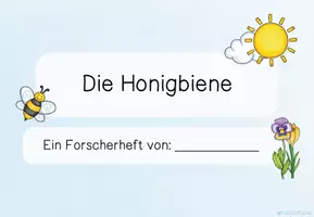 Vorschau - Experimente - Die Honigbiene: Forscherheft - Seite 3