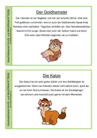 Vorschau - Stundenentwürfe - Abschreibkartei Haus- und Bauernhoftiere - Seite 2
