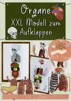 Vorschau - Mal- und Bastelvorlagen - Organe XXL Modell zum Aufklappen - Anordnung der Organe - Deckblatt