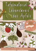 Vorschau - Poster - Lebenskreis des Apfels Tafelmaterial - Lebenszyklus Apfel - Deckblatt