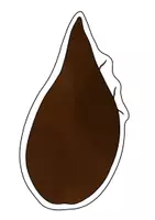 Vorschau - Poster - Lebenskreis des Apfels Tafelmaterial - Lebenszyklus Apfel - Seite 3