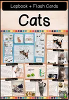 Vorschau - Arbeitsblätter - Cats - Lapbook and Flash Cards - Deckblatt