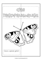Vorschau - Unterrichtsreihen - Lapbook Schmetterlinge - Seite 3