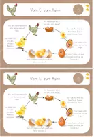 Vorschau - Unterrichtsreihen - Lerntheke Huhn, Vom Ei zum Huhn, Entwicklung, Haustier/ Nutztier, Bauernhof - Seite 2
