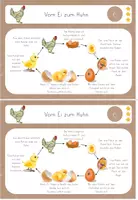 Vorschau - Unterrichtsreihen - Lerntheke Huhn, Vom Ei zum Huhn, Entwicklung, Haustier/ Nutztier, Bauernhof - Seite 3