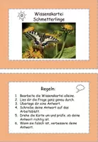 Vorschau - Arbeitsblätter - Wissenskartei Schmetterlinge - Deckblatt