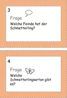 Vorschau - Arbeitsblätter - Wissenskartei Schmetterlinge - Seite 3