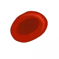 Vorschau - selbst erstellte Cliparts/Grafiken - Cliparts - Set: *Blutzellen, Blut* - Seite 3