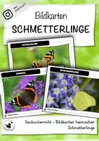 Vorschau - Bildkarten - Schmetterlinge Bildkarten - Deckblatt