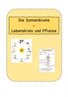Vorschau - Arbeitsblätter - Lebenskreis der Sonnenblume - Arbeitsblatt - Deckblatt