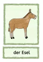 Vorschau - Bildkarten - Karneval der Tiere Wortkarten und Bildkarten - Seite 3