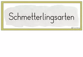 Vorschau - Poster - Tafelmaterial: Schmetterlingsarten (Bildkarten) - Seite 2