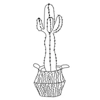 Vorschau - selbst erstellte Cliparts/Grafiken - Cliparts hübsche Zimmerpflanzen - Seite 3