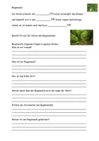 Vorschau - Arbeitsblätter - der Regenwald Aufgaben und Lösungen - Seite 3