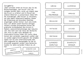 Vorschau - Arbeitsblätter - ABs Rechercheaufgabe Mein Enzym - Seite 1