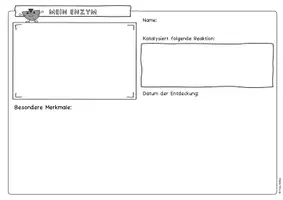 Vorschau - Arbeitsblätter - ABs Rechercheaufgabe Mein Enzym - Seite 3