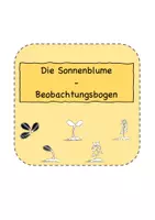 Vorschau - Arbeitsblätter - Die Sonnenblume - Materialpaket - Seite 1