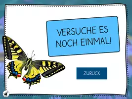 Vorschau - Präsentationen/Tafelbilder - Heimische Schmetterlinge bestimmen - Interaktive PDF - Seite 3